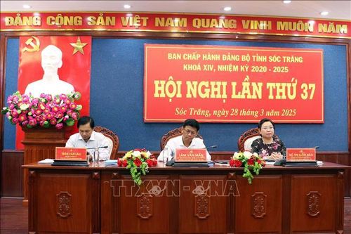 Ưu tiên sắp xếp tổ chức bộ máy cấp xã, phường nhanh, gọn, hiệu quả