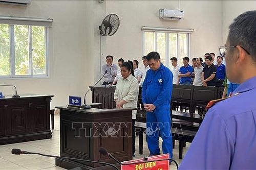 Tuyên phạt các đối tượng lừa đảo chiếm đoạt hơn 37 tỉ đồng