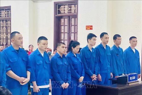 Phạt tù chung thân 3 đối tượng trong đường dây ma túy quy mô lớn