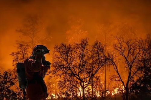 Trái Đất có thể nóng lên 7°C vào năm 2200: Thảm họa lũ lụt, nạn đói và nắng nóng kỷ lục đang chực chờ