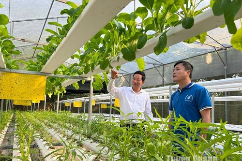 Điểm nhấn nông thôn mới