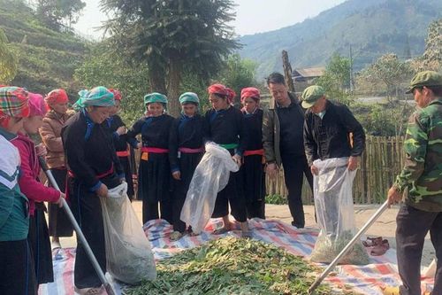 Tập huấn phục hồi sinh kế cho nông dân huyện Bắc Hà