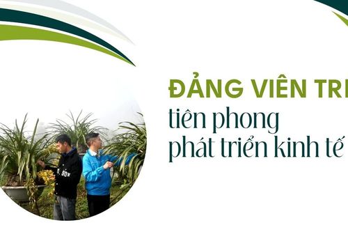 Đảng viên trẻ tiên phong phát triển kinh tế