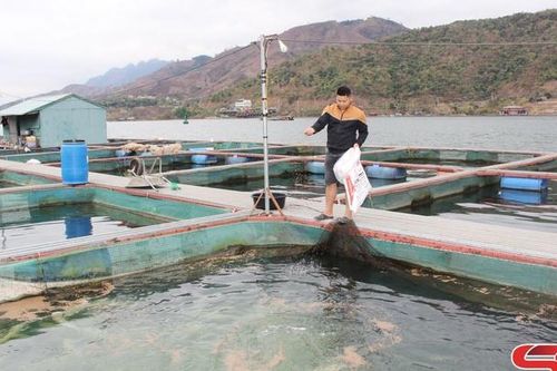 Kênh tín dụng thiết thực của hội viên