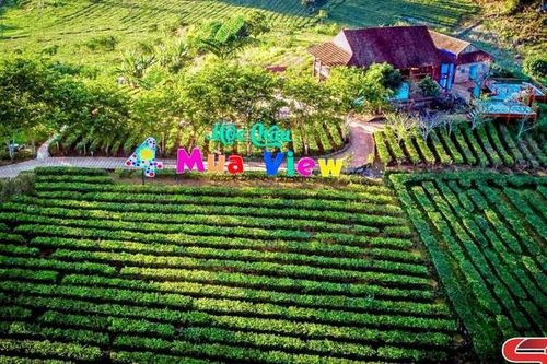 Mô hình Farmstay tại Mộc Châu