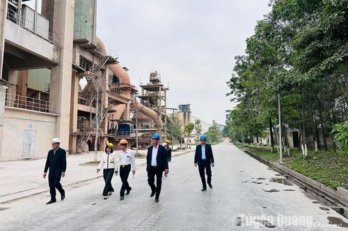 Công ty cổ phần xi măng Tân Quang - VVMI: Vượt qua khó khăn, khẳng định vị thế