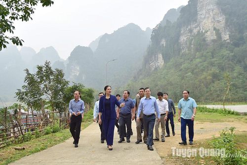 Đoàn công tác Ban Thường vụ Tỉnh ủy khảo sát tình hình phát triển kinh tế, xã hội tại Na Hang