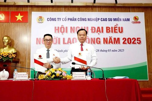 CASUMINA: Hội nghị đại biểu người lao động năm 2025 ghi dấu những cam kết mới