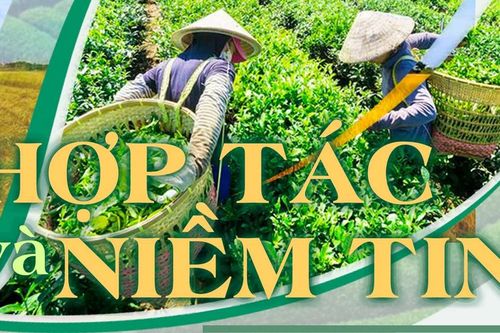 Hợp tác và niềm tin