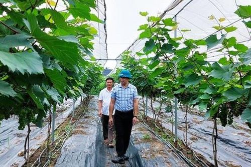 Điểm sáng Thủy Xuân Tiên