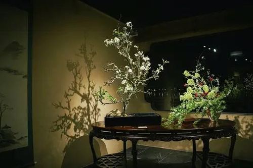 Lạc vào thế giới Ikebana 'Nhất hoa nhất khí'