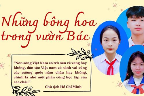 Những bông hoa trong vườn Bác