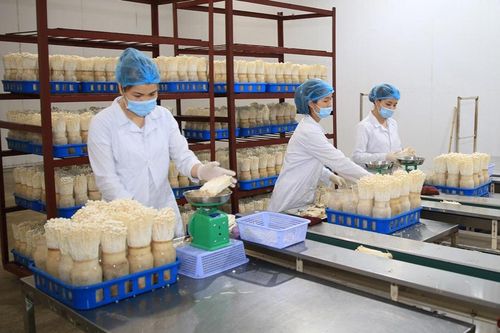 Thực hiện Chương trình số 04-CTr/TU của Thành ủy Hà Nội giai đoạn 2021-2025: Rút ngắn khoảng cách nông thôn - đô thịBài 3: Vượt khó để 'cán đích'