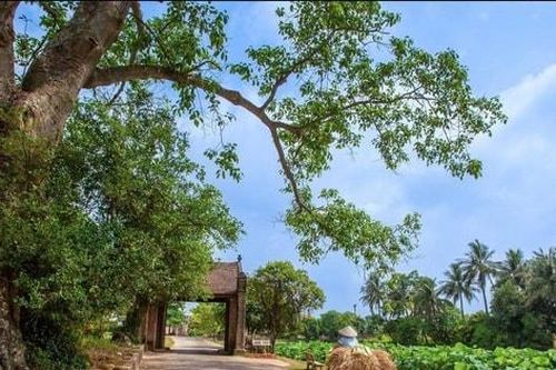 Quê hương trong tim mỗi người