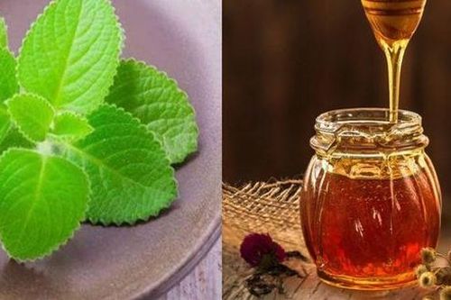 Bí quyết trị ho, tiêu đờm hiệu quả bằng siro húng chanh