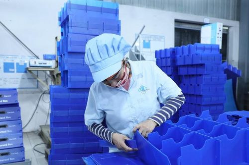 Doanh nghiệp Việt chú trọng yếu tố phát triển bền vững