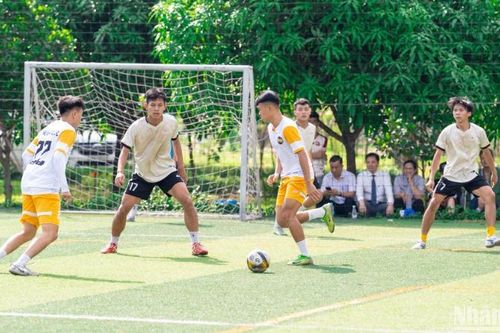 Gần 500 cầu thủ tham gia giải bóng đá Đại học HUTECH
