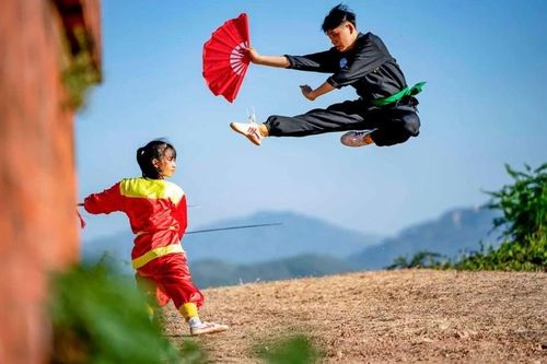 Hoàn tất hồ sơ di sản 'Võ cổ truyền Bình Định' trình UNESCO ghi danh