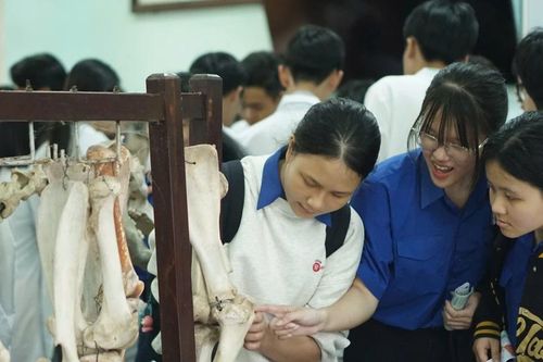 Học sinh THPT thích thú trải nghiệm các ngành học nông lâm tại Huế