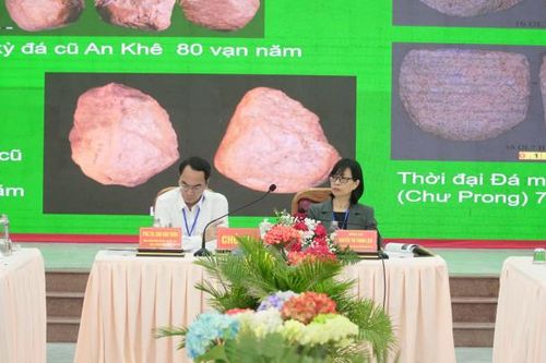 Gia Lai: Đề nghị nâng cấp Di tích Lịch sử - Văn hóa cấp quốc gia Plei Ơi thành di tích quốc gia đặc biệt