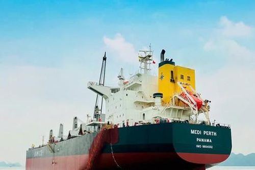 Xi Măng Xuân Thành bứt phá mạnh mẽ, chinh phục thị trường thế giới