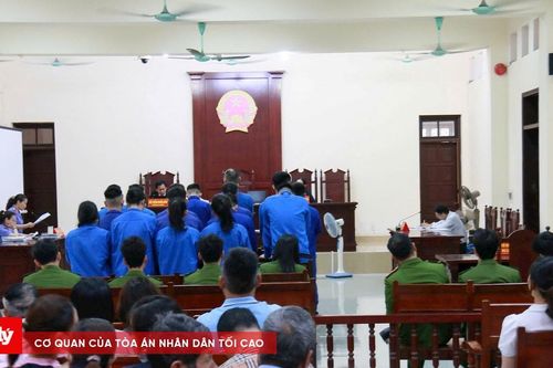 Xét xử nhóm bị cáo chứa chấp, tổ chức và sử dụng ma túy