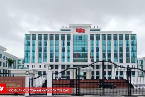 Khai trừ Đảng Phó Đội trưởng Đội kiểm tra quy tắc đô thị TP. Thanh Hóa