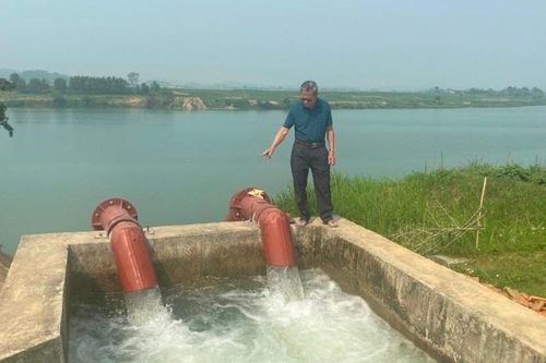 Nghệ An hoàn thành nâng cấp 3 trạm bơm ven sông Lam phục vụ tưới hoa màu và lúa vụ Xuân