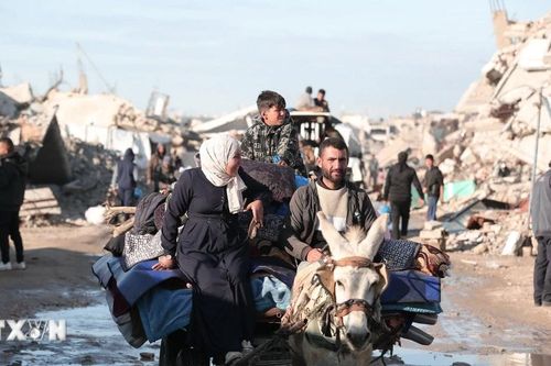 Israel đàm phán với nhiều nước về khả năng tiếp nhận người Palestine từ Gaza