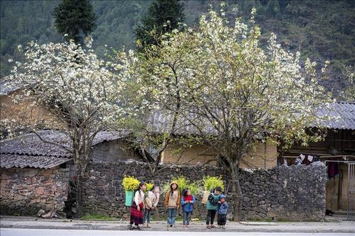 Hà Giang đặt mục tiêu đón 3,5 triệu lượt khách trong năm 2025