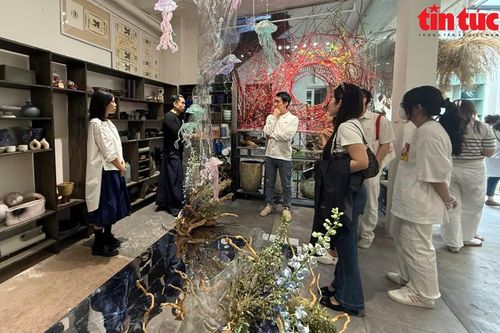 TP Hồ Chí Minh: Triển lãm nghệ thuật cắm hoa Ikebana