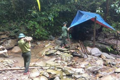 Huế: Kiểm lâm bị nợ 3 tháng lương, thành phố chỉ đạo rà soát xử lý