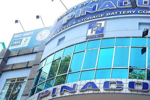 Pinaco bị xử phạt và truy thu thuế hơn 2,2 tỷ đồng