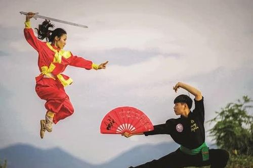 Trình UNESCO vinh danh di sản võ cổ truyền Bình Định