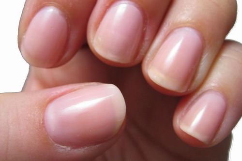 Nếu có đủ 6 dấu hiệu này, xin chúc mừng bạn đang cực kỳ khỏe mạnh