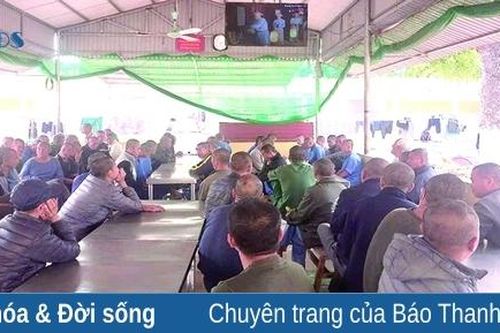 Trong 'thế giới' của bệnh nhân tâm thần