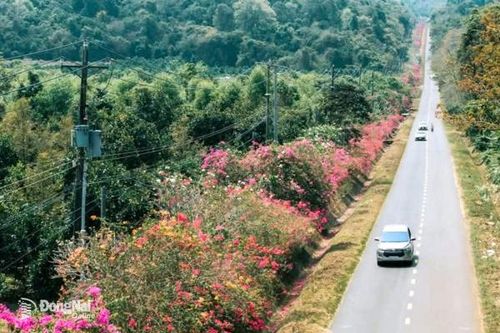 Chiến khu Đ - vùng đất lịch sử vươn mình