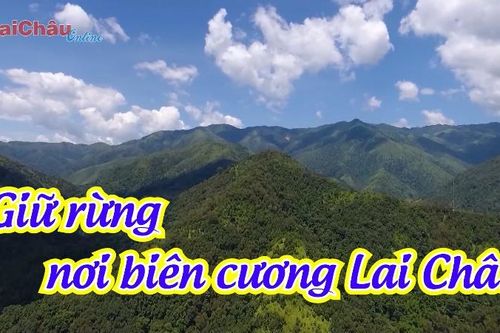 Giữ rừng nơi biên cương Lai Châu