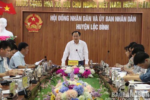 Lãnh đạo UBND tỉnh kiểm tra tình hình thực hiện các dự án trên địa bàn huyện Lộc Bình