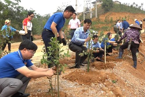 Trồng 1.200 cây hoa sim tại Làng Nủ