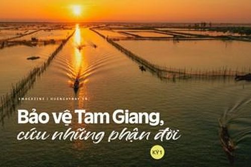 Bảo vệ Tam Giang, cứu những phận đời - Kỳ 1