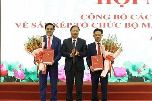 Hà Tĩnh: Tạm dừng thực hiện sắp xếp, kiện toàn đơn vị sự nghiệp công lập