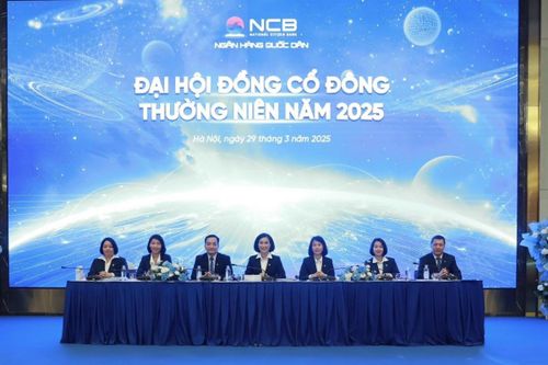 NCB chốt phát hành thêm 750 triệu cổ phiếu, mục tiêu có lãi trong năm 2025
