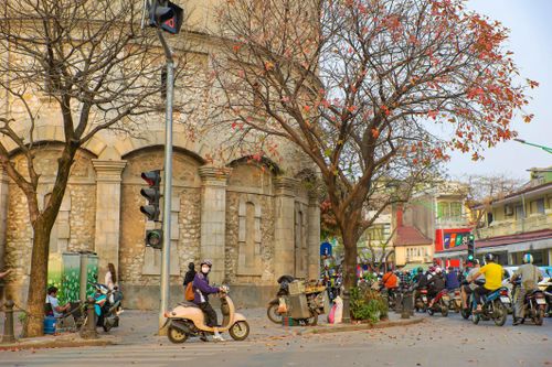 'Góc Paris' giữa lòng Hà Nội tấp nập người check in mùa lộc vừng rụng lá