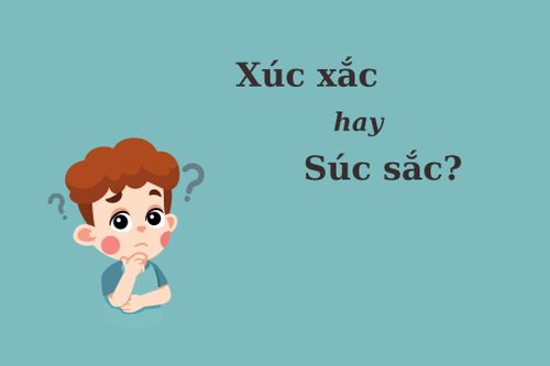 90% người nhầm lẫn: 'Xúc xắc' hay 'súc sắc'?