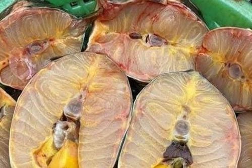 Cẩn trọng với cá tầm được rao bán siêu rẻ trên mạng xã hội