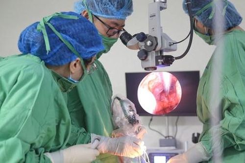 'Trả lại cửa sổ tâm hồn' cho bệnh nhân bị vỡ hốc mắt nghiêm trọng sau chấn thương
