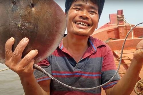 Săn cá đuối ở miền Tây