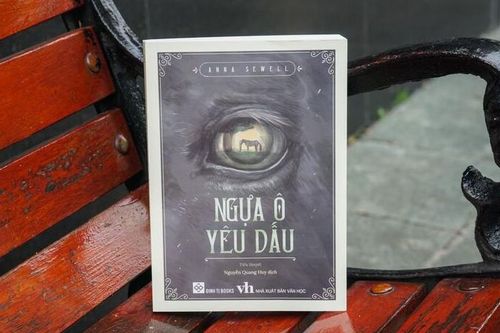 'Ngựa ô yêu dấu': Cuốn sách bestseller từ lăng kính của một chú ngựa