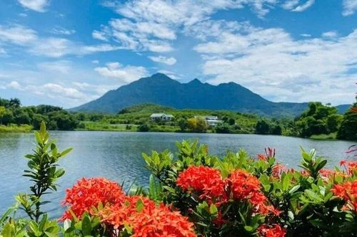 Bavi Resort: 'Điểm hẹn' lý tưởng